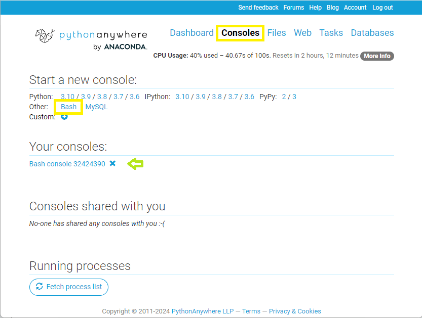 Bild des PythonAnywhere-Konsolenverwaltungsbildschirms